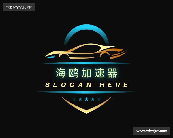 解读海鸥加速器